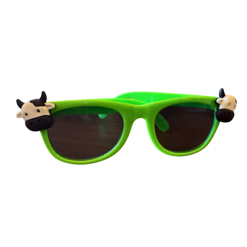 Kids Sunglasses
