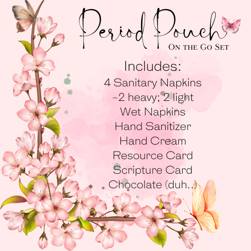 Period Pouch on The Go Set