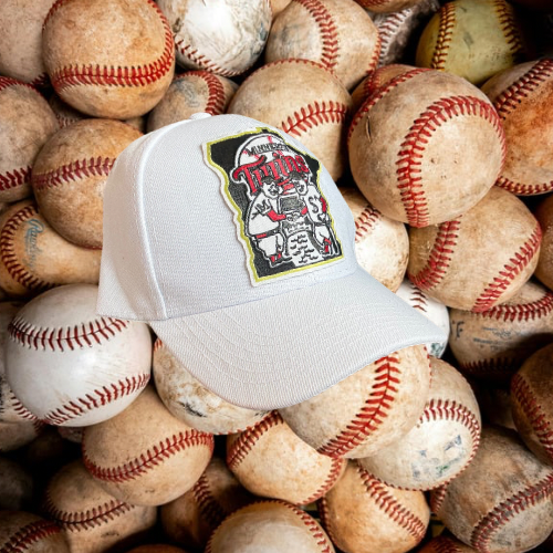Minnesota Twins Baseball Cap